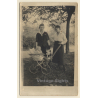 2 Young Females, Baby In Pram, Dog & Teddy Bear (Vintage RPPC 1920s/1930s)
