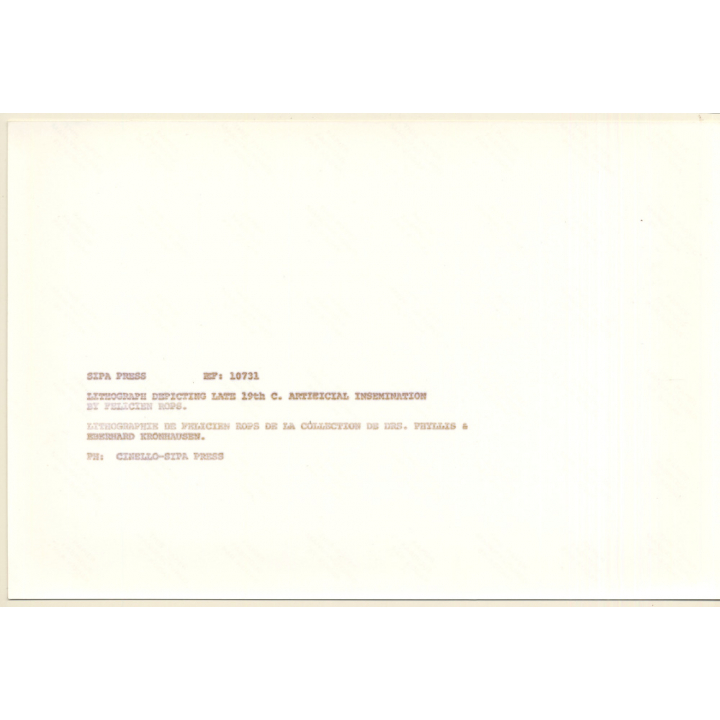 Felicien Rops (1833-1898): Artificial Insemination / Erotic Art 19th Century (Vintage Press Photo KORENJAK 1970s)