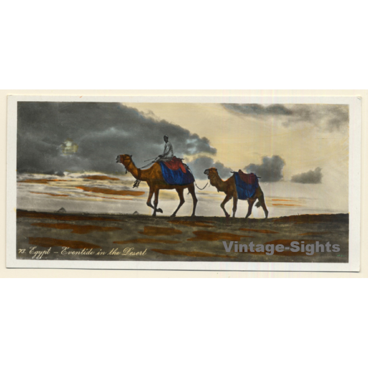 Lehnert & Landrock N°73: Egypt - Eventide In The Desert (Vintage PC ~1910/1920s)