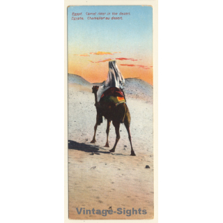 Egypt: Camel Rider In The Desert (Vintage PC ~1910s/1920s)