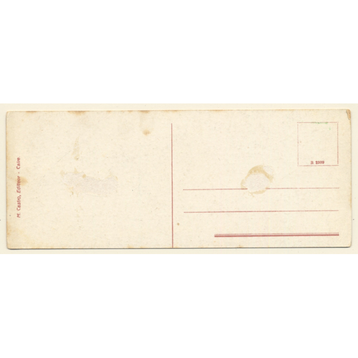 Egypt: Camel Rider In The Desert (Vintage PC ~1910s/1920s)