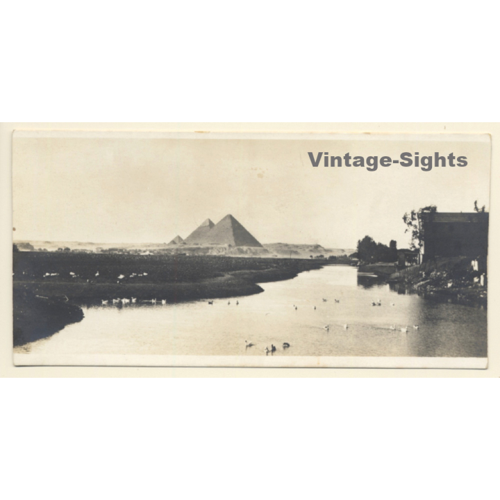Egypt: Landscape With The Pyramids Of Giza (Vintage RPPC ~1910s/1920s)