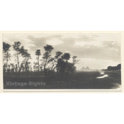 Egypt: Landscape - Pyramids - Desert (Vintage RPPC ~1910s/1920s)