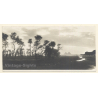 Egypt: Landscape - Pyramids - Desert (Vintage RPPC ~1910s/1920s)