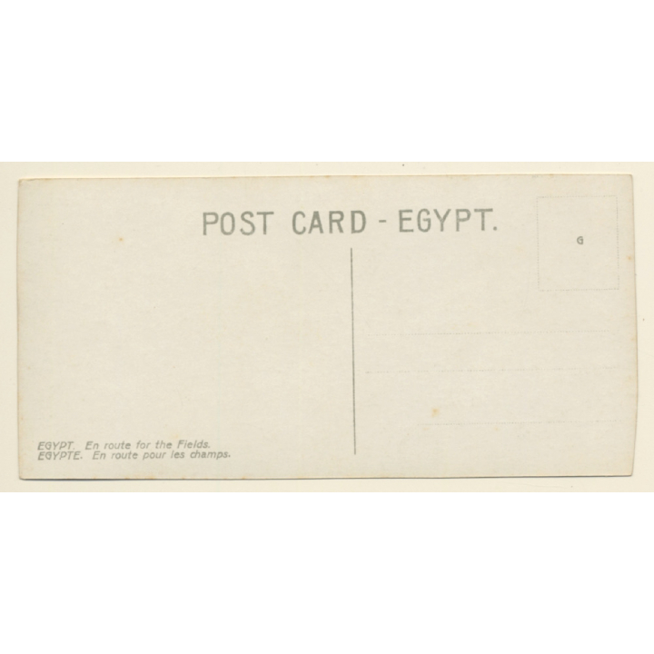Egypt: En Route For The Fields / Camel Caravan (Vintage RPPC ~1910s/1920s)
