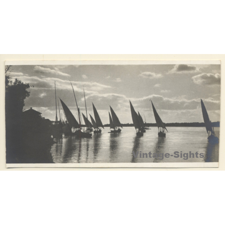 Egypt: Sailing Boats On The Nile (Vintage RPPC ~1910s/1920s)