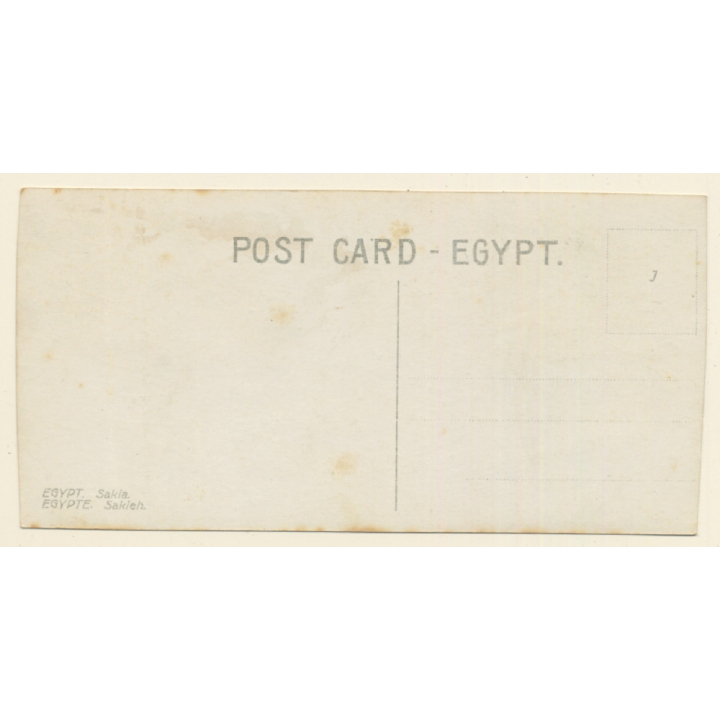 Egypt: Sakia - Zebu Cattle At Well - Native Boy / Ethnic (Vintage RPPC ~1910s/1920s)