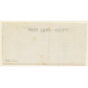 Egypt: Sakia - Zebu Cattle At Well - Native Boy / Ethnic (Vintage RPPC ~1910s/1920s)