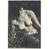 Erotic Study: Natural Topless Female On Meadow (Vintage Photo ~1940s/1950s)