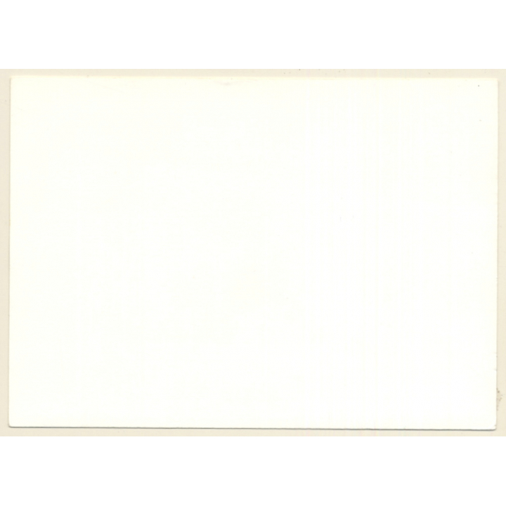 Erotic Study: Tall Slim Nude On Couch / Wallpaper (Vintage Photo GDR ~1970s/1980s)