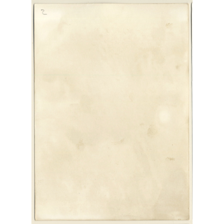 Erotic Study: Natural Longhaired Nude On Meadow (Vintage Photo GDR ~1970s/1980s)