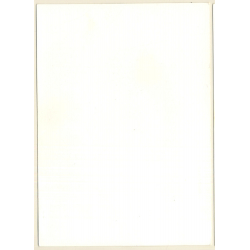 Erotic Study: Longhaired Nude Stretches Out In Sun (Vintage Photo GDR ~1970s/1980s)
