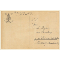 Hahnenklee / Goslar Im Harz: Dorfstraße - Rinder (Vintage PC 1921)