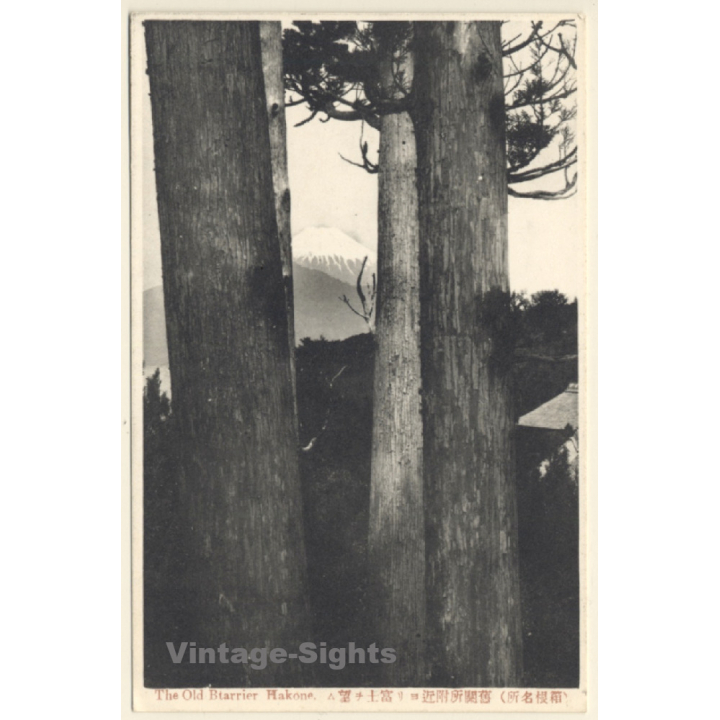 Japan: The Old Btarrier Hakone / Trees - Volcano (Vintage PC ~1910s)
