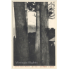 Japan: The Old Btarrier Hakone / Trees - Volcano (Vintage PC ~1910s)