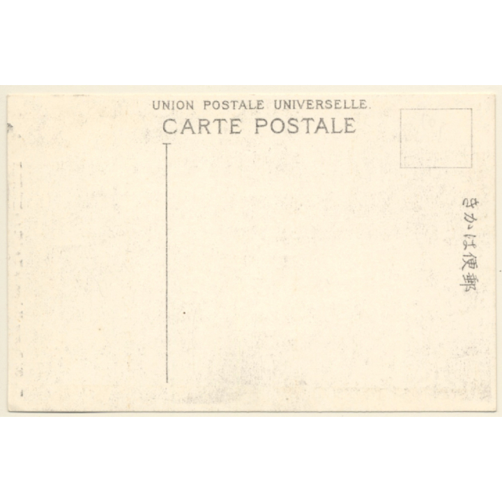 Japan: The Old Btarrier Hakone / Trees - Volcano (Vintage PC ~1910s)