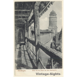 Nördlingen / Germany: Blick Von Der Mauer Auf Löpsingertor (Vintage PC ~1910s)