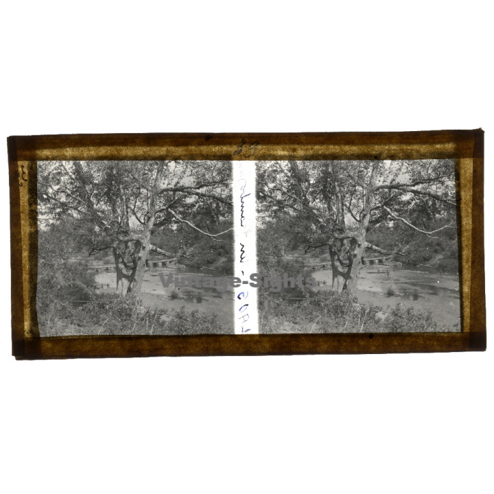 Laos: Flamboyant Tree / River - Bridge (Vintage Stereo Glass Plate ~1920s/1930s)