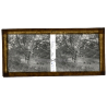 Laos: Flamboyant Tree / River - Bridge (Vintage Stereo Glass Plate ~1920s/1930s)