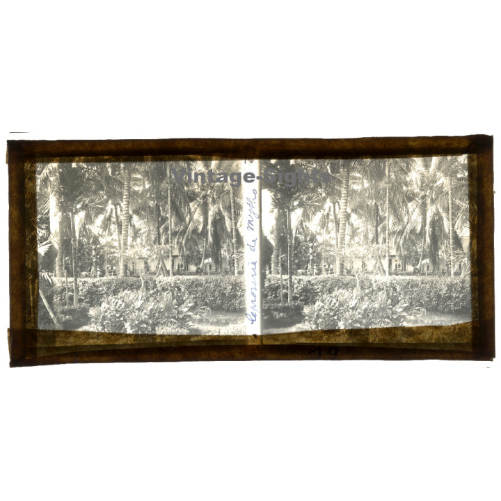 Indochina: Léproserie de Myths / Leper Colony (Vintage Stereo Glass Plate ~1920s/1930s)