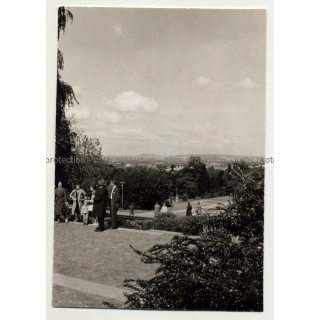 Höhenpark Killesberg: Bundesgartenschau 1961 - Stuttgart / Germany (Vintage Photo B/W)