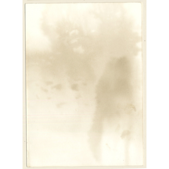 Erotic Study: Happy Natural Nude Standing / Curtains (Vintage Photo GDR ~1970s/1980s)