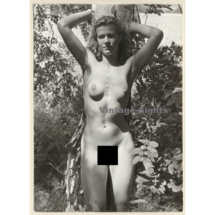 Erotic Study: Natural Blonde Nude Leaning Against Birch Tree (Vintage Photo GDR ~1970s/1980s)