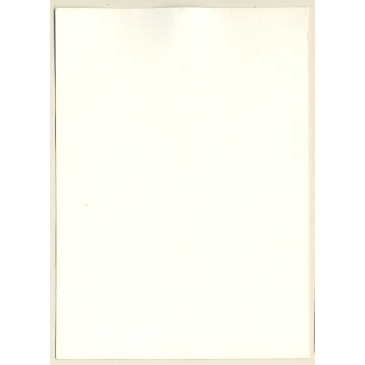 Erotic Study: Natural Blonde Nude Leaning Against Birch Tree (Vintage Photo GDR ~1970s/1980s)