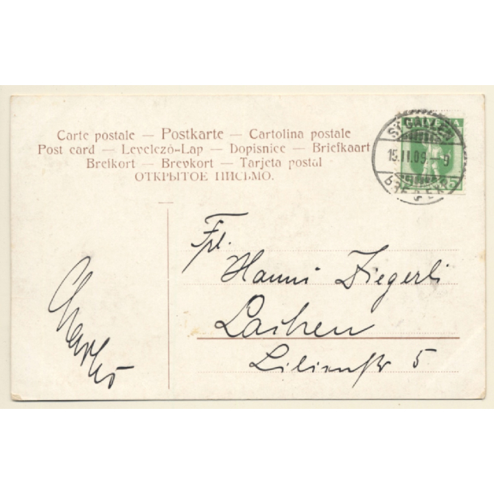 2 Bernhardiner Hunde / Saint Bernhard Dogs (Vintage PC 1909)