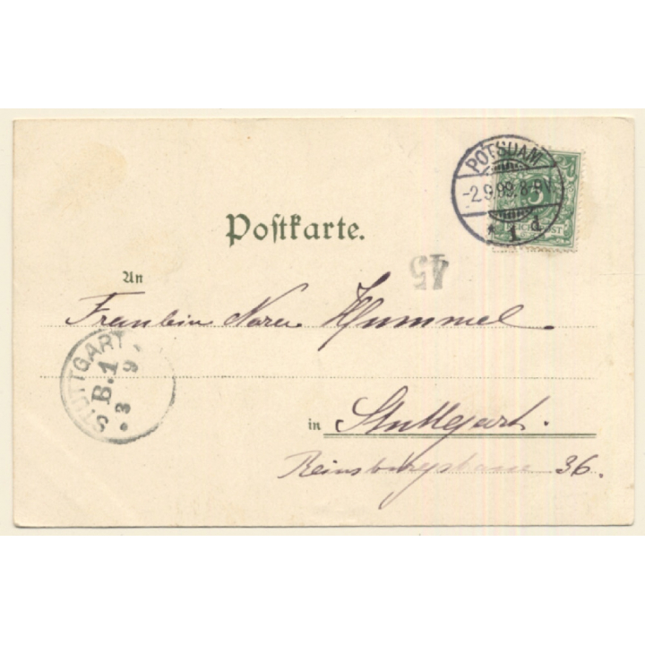 Terrier Family Looking At Snail / Dogs (Vintage PC 1899)