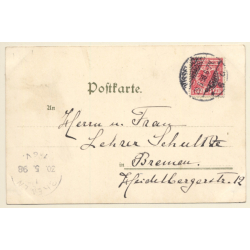 Shih Tzu & Terrier Holding Letter / Dogs (Vintage PC 1898)