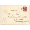 Shih Tzu & Terrier Holding Letter / Dogs (Vintage PC 1898)