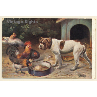 English Bulldog & Chicken / Dogs (Vintage PC 1928)