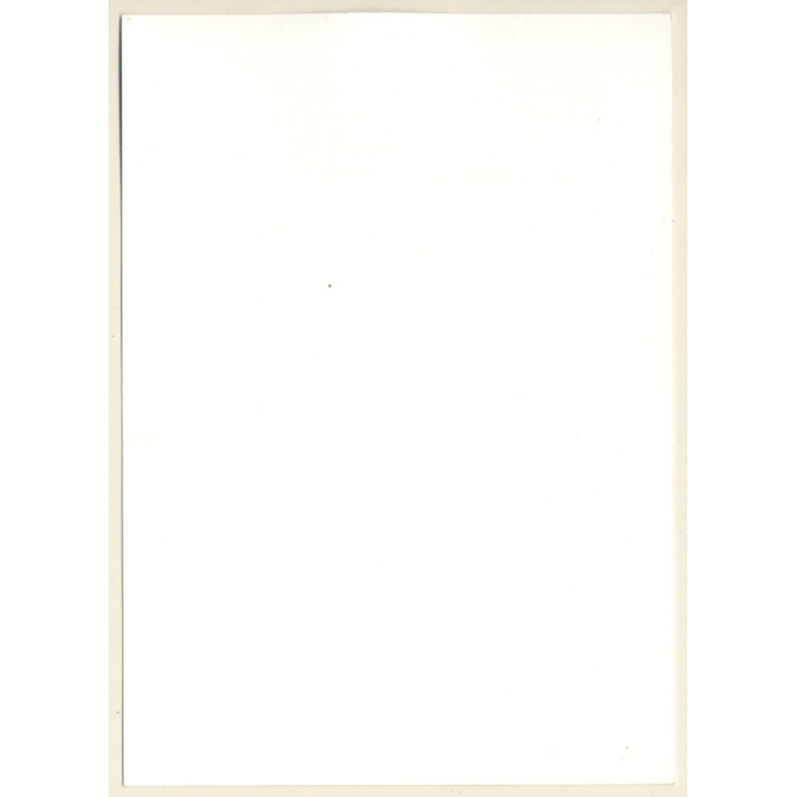 Erotic Study: Rear View Of 3 Darkhaired Nudes (Vintage Photo GDR ~1970s/1980s)