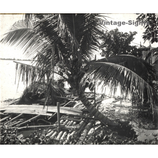 Indochina: Radeau Pêche - Fishing Raft / Coconut Palm (Vintage Stereo Glass Plate ~1920s/1930s)