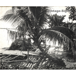Indochina: Radeau Pêche - Fishing Raft / Coconut Palm (Vintage Stereo Glass Plate ~1920s/1930s)