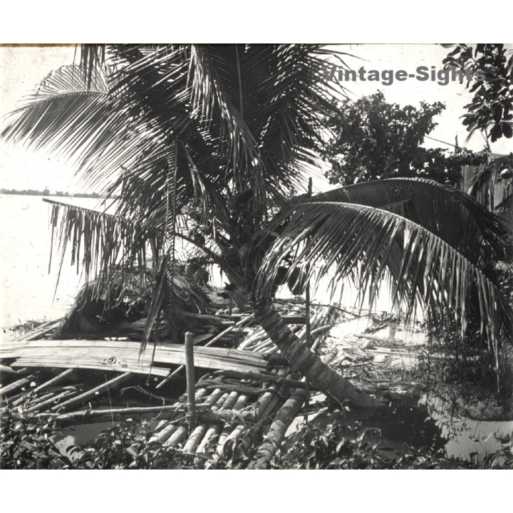 Indochina: Radeau Pêche - Fishing Raft / Coconut Palm (Vintage Stereo Glass Plate ~1920s/1930s)
