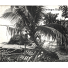 Indochina: Radeau Pêche - Fishing Raft / Coconut Palm (Vintage Stereo Glass Plate ~1920s/1930s)