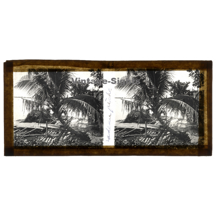 Indochina: Radeau Pêche - Fishing Raft / Coconut Palm (Vintage Stereo Glass Plate ~1920s/1930s)