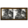 Indochina: Radeau Pêche - Fishing Raft / Coconut Palm (Vintage Stereo Glass Plate ~1920s/1930s)