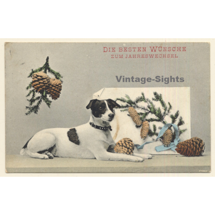 Terrier Dog Wishes Happy New Year (Vintage PC 1907)
