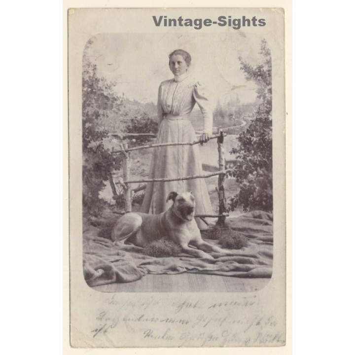 Elegant Lady In Victorian Dress With German Shepherd (Vintage PC 1900s/1910s)