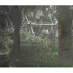 Bãi Xan / Vietnam: Native Woman On Jungle Bridge (Vintage Stereo Glass Plate ~1920s/1930s)
