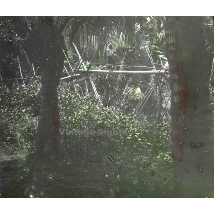 Bãi Xan / Vietnam: Native Woman On Jungle Bridge (Vintage Stereo Glass Plate ~1920s/1930s)
