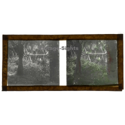 Bãi Xan / Vietnam: Native Woman On Jungle Bridge (Vintage Stereo Glass Plate ~1920s/1930s)