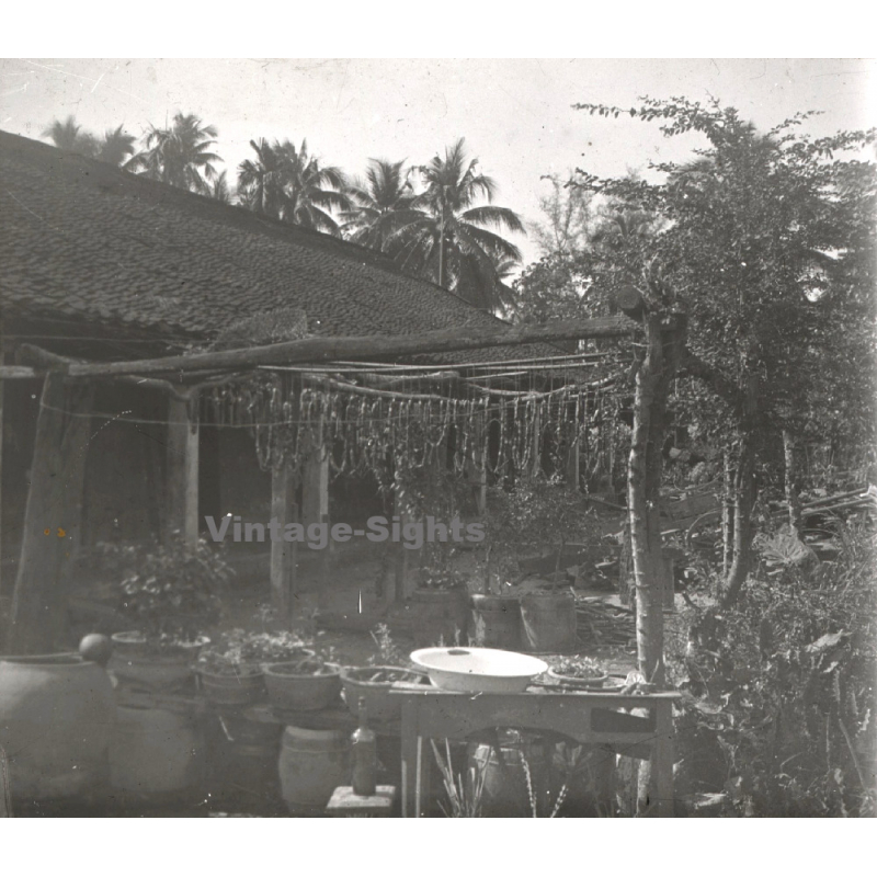 Indochina: Plants Drying On Porche Of Bamboo Hut (Vintage Stereo Glass Plate ~1920s/1930s)