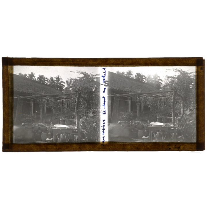 Indochina: Plants Drying On Porche Of Bamboo Hut (Vintage Stereo Glass Plate ~1920s/1930s)