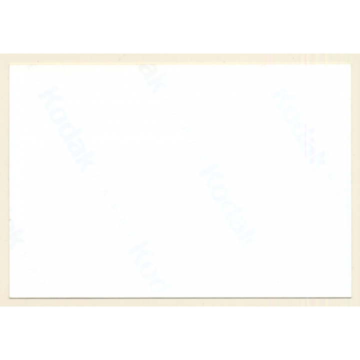 Natural Brunette Flashing Boob In Nature / Risqué (Vintage Photo ~1980s)