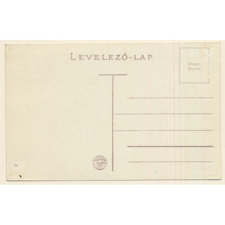 Györ / Hungary: View Of Hotel Royal (Vintage RPPC)