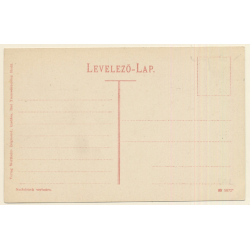 Trencénteplicz / Slovakia: Total View (Vintage PC ~1910s/1920s)